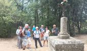 Trail Walking Tourbes - jolie boucle à Tourbes - Photo 12
