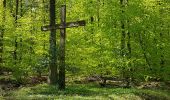 Trail Walking Saverne - Saverne : rocher Rappenfels - grotte St Vit - château Greifenstein - Photo 10