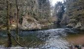 Tour Wandern Thiéfosse - gorges de Crosery  - Photo 11