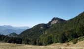 Tocht Stappen Saint-Pierre-de-Chartreuse - Col du coq_Dent de Crolles_Le Prevouta - Photo 14