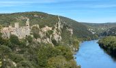 Tour Wandern Saint-Martin-d'Ardèche - Saint Martin d’Ardéche - Photo 5