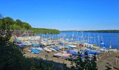 Tocht Stappen Froidchapelle - Balade au Lac de l'Eau d'Heure - Photo 11