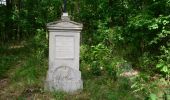 Percorso A piedi Gemeinde Horn - Steindlbergweg - Photo 1