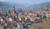 Tour Wandern Münster im Elsass - Gunsbach & le sentier Schweitzer par Haslach - Photo 3