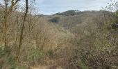 Tocht Noords wandelen Vianden - Gr5 E2 de  Vianden à Dasbourg Pont - Photo 20