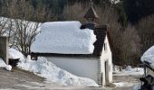 Tour Zu Fuß Hollersbach im Pinzgau - Bienenlehrpfad - Photo 8