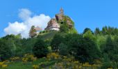 Trail Walking Dabo - Dabo - Col de la Schleif - Roskopf - Photo 14