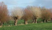 Trail On foot Poperinge - Zevekotepad Reningelst - Photo 8