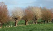 Tocht Te voet Poperinge - Zevekotepad Reningelst - Photo 8