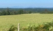 Tour Wandern Échandelys - Panorama en Livradois-Forez  - Photo 7