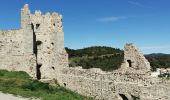 Tocht Stappen La Crau - Chapelle du Fenouillet & Château de Hyères - Photo 12