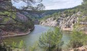 Excursión Senderismo Le Tholonet - Le Tholonet Lac Zola - Photo 3