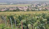 Tour Wandern Saâcy-sur-Marne - 20240910 rando  - Photo 12