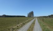 Tocht Stappen Neufchâteau - Massul - Bercheux - Photo 1