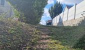 Trail Walking Saint-Ouen - Saint-Ouen - Découverte - Photo 5