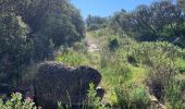 Randonnée Marche Nîmes - NÎMES. Petite boucle sur les Hauts de Nîmes - Photo 2