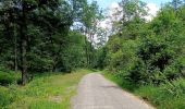 Tocht Stappen Amel - La rivière d'or (9km) - Photo 17