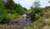 Tocht Te voet Unknown - Out-and-back walk to Harris from Kinloch - Photo 7