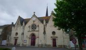 Tocht Stappen Chouzé-sur-Loire - Chouzé-sur-Loire - PRs Varennes-sur-Loire - 23.9km 130m 5h35 (40mn) - 2023 05 08 - Photo 4