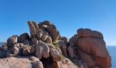 Tocht Stappen Perros-Guirec - LE SENTIER DES DOUANIERS  - Photo 6