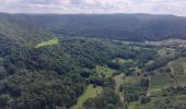Excursión Senderismo Les Planches-près-Arbois - Cascades des Tufs et environs et plateau points de vue - Photo 9
