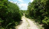 Excursión Senderismo Tharaux - Tharaux - Photo 10