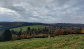 Trail Walking Namur - marche Nannine - Photo 13