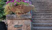 Trail Walking Saint-Guilhem-le-Désert - petite visite se st guilhem le desert - Photo 10