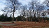 Tour Wandern La Roche-en-Ardenne - rando samrée 13/11/2020 - Photo 18