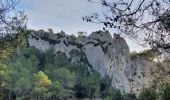 Trail Walking Cheval-Blanc - Valloncourt - Photo 2