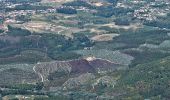 Randonnée A pied Ermelo e Pardelhas - Caminhos da Senhora da Graça: Ermelo - Senhora da Graça - Photo 2