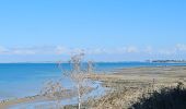 Tour Elektrofahrrad Ars-en-Ré - ile de ré vélo  - Photo 1