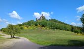 Trail Walking Dabo - Dabo - Col de la Schleif - Roskopf - Photo 15