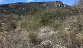 Trail Walking Lauroux - Cirque de Labeil - Lauroux-Labeil - Photo 6