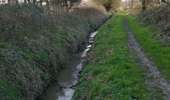 Trail Walking Chapelle-lez-Herlaimont - GG-HT-07_Godarville-Piéton - Photo 3
