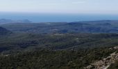 Excursión Senderismo Plan-d'Aups-Sainte-Baume - la sainte beaume  - Photo 8