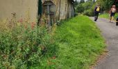 Trail Walking Écouves - OT les Haras de Radon à Damigny - Photo 12