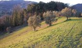 Trail On foot Capannori - Sentiero n.16 