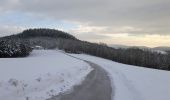 Tour Zu Fuß Park Hosingen - circuit Auto-pédestre Wahlhausen - Photo 7