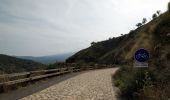 Trail On foot Moio Alcantara - Moio Alcantara - Monte Cerreto - Photo 8