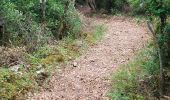 Trail Walking Montmeyan - les basses gorges de quinson - Photo 7
