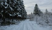 Tour Wandern Stablo - A la découverte de Hockai 🥾 - Photo 9