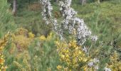 Trail Walking Cassis - Couronne de Charlemagne.  - Photo 2