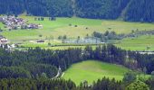 Trail On foot Hollersbach im Pinzgau - Bienenlehrpfad - Photo 5