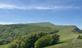 Trail  Omblèze - Plateau d’Ambel - Photo 8