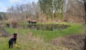 Tocht Stappen Libin - Reconnaissance des différents parcours marche ADEPS de Villance. - Photo 5