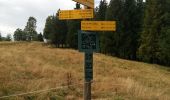 Tour Wandern Revel - Montagne 15/08/2023 - Photo 6