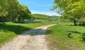 Randonnée Marche Omblèze - Refuge d' Ambel - Photo 8