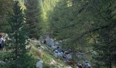 Randonnée Marche Saint-Martin-Vésubie - Cougourde-Lac de Trécolpas Mercantour - Photo 19