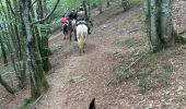 Trail Horseback riding Auritz - 2023 R2 J1 - Photo 6